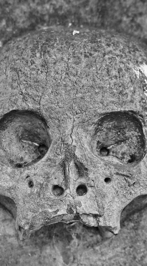 Pactos y conspiraciones en El Cartel Paranormal