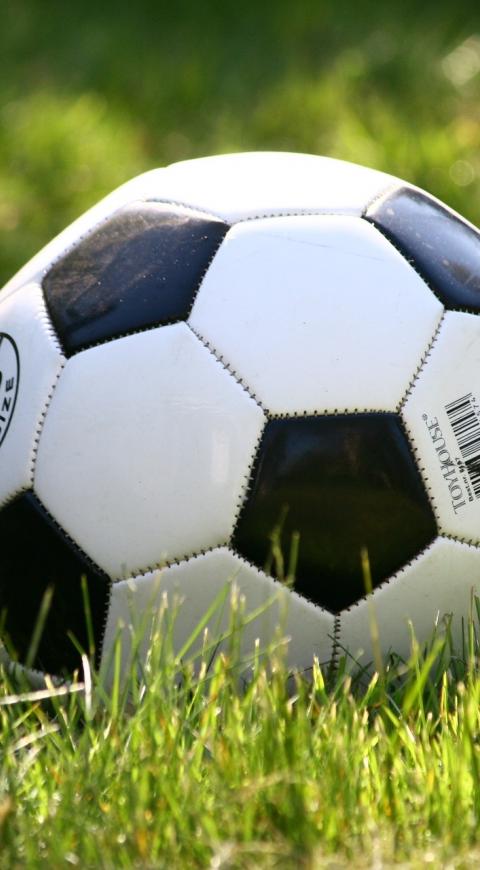 futbol