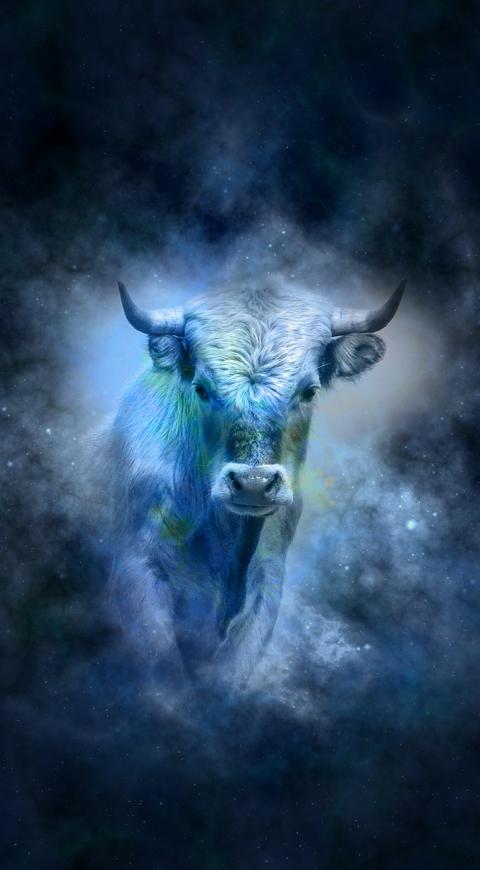 5 infidelidades en una llamada de El Cartel