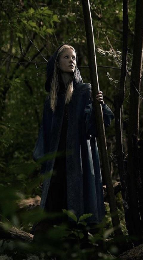The Witcher