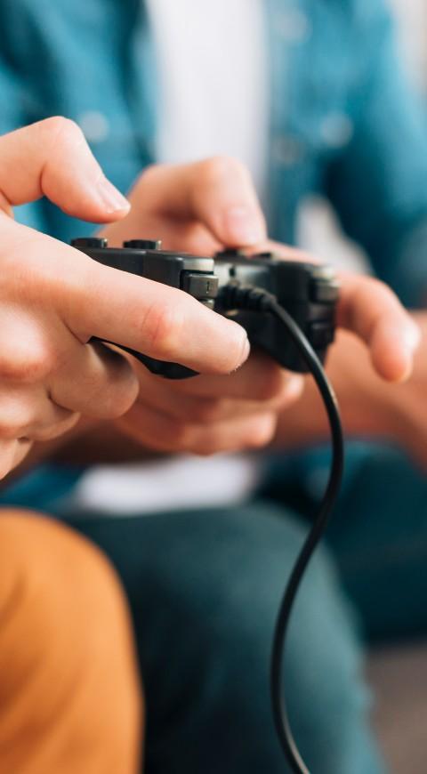 Videojuego vertical