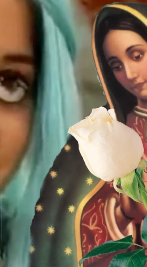 La Rosa de Guadalupe Anime 2