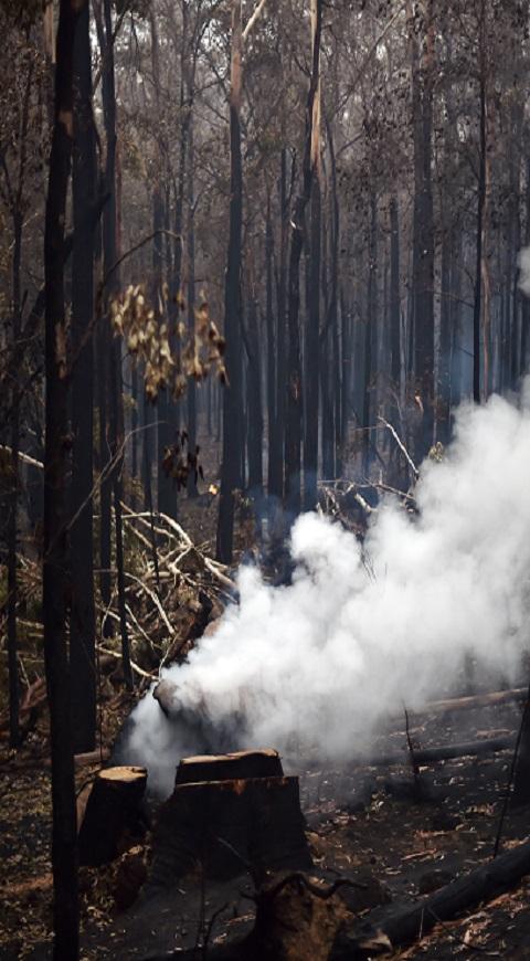 Incendios en Australia