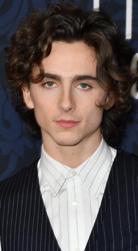 Timothée Chamalet