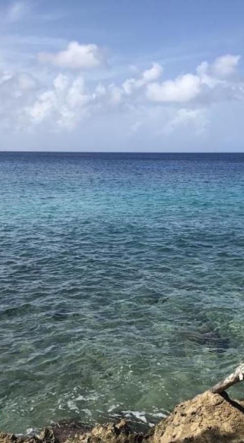 San Andrés