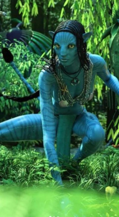 Avatar