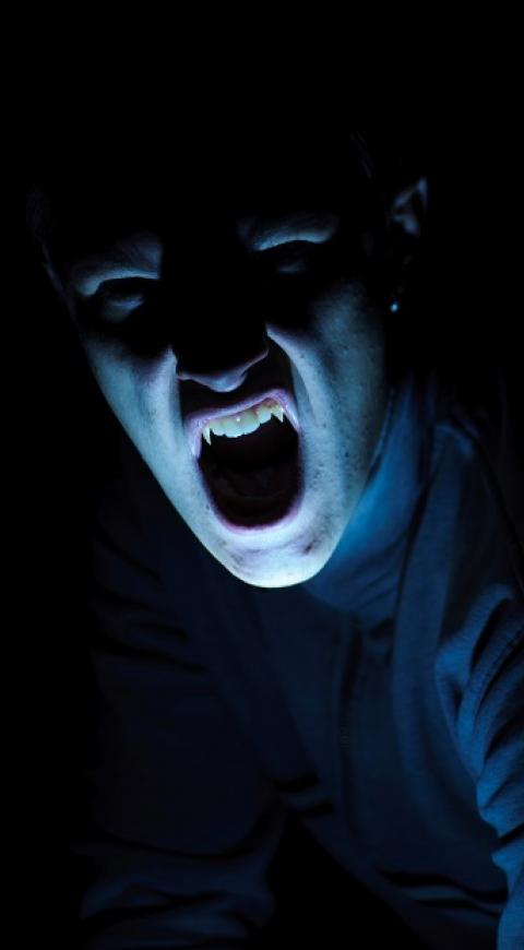 Vampiro/Referencia