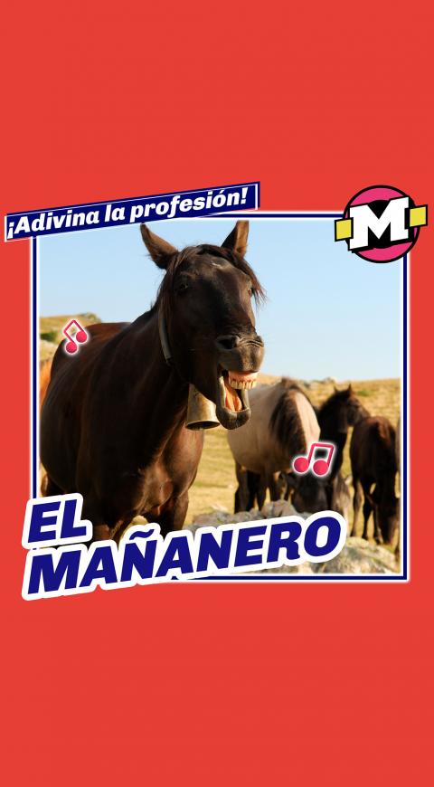 profesion