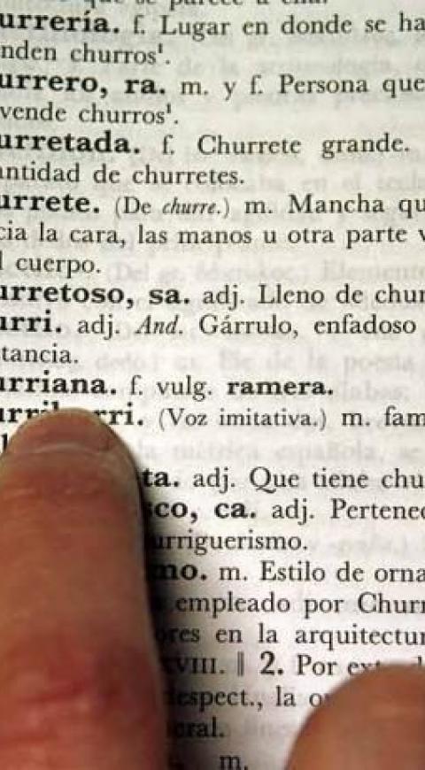 Diccionario vertical