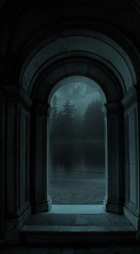 Bosques malditos y misteriosos en El Cartel Paranormal - Junio 22