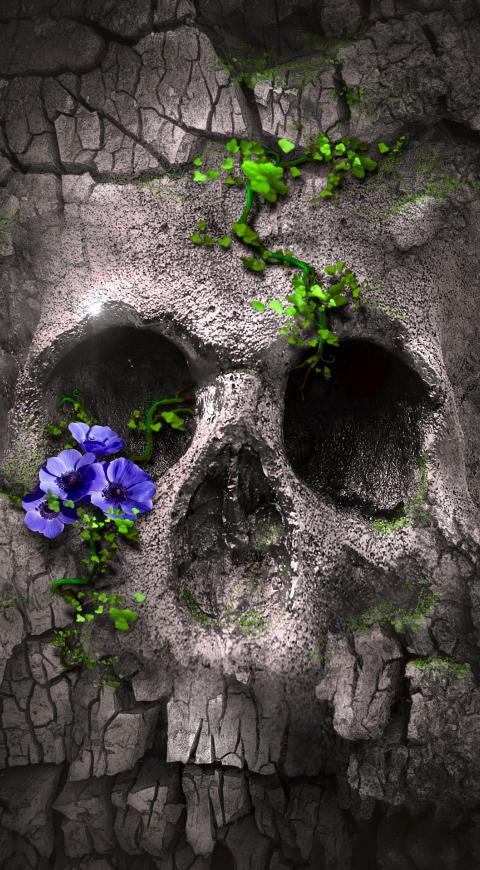 Muerte y vida en El cartel Paranormal - Agosto 12