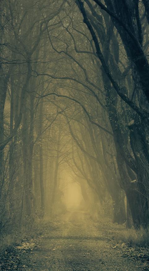Parálisis del sueño y bosque en El Cartel Paranormal - Agosto 19