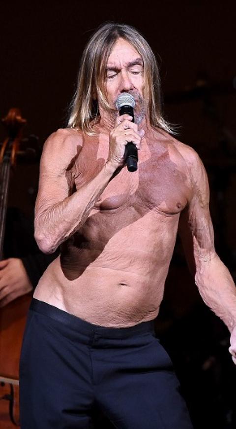 Iggy Pop