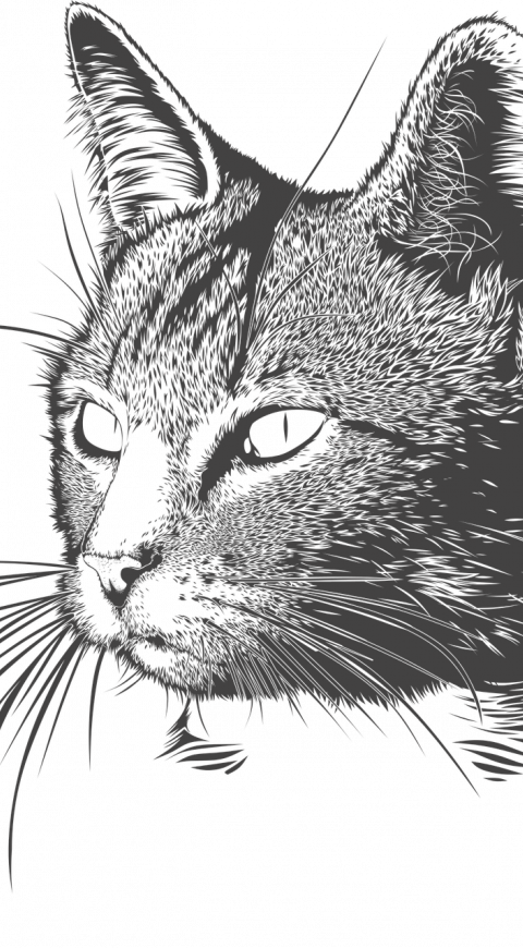 Animales fantasma en El Cartel - Septiembre 13