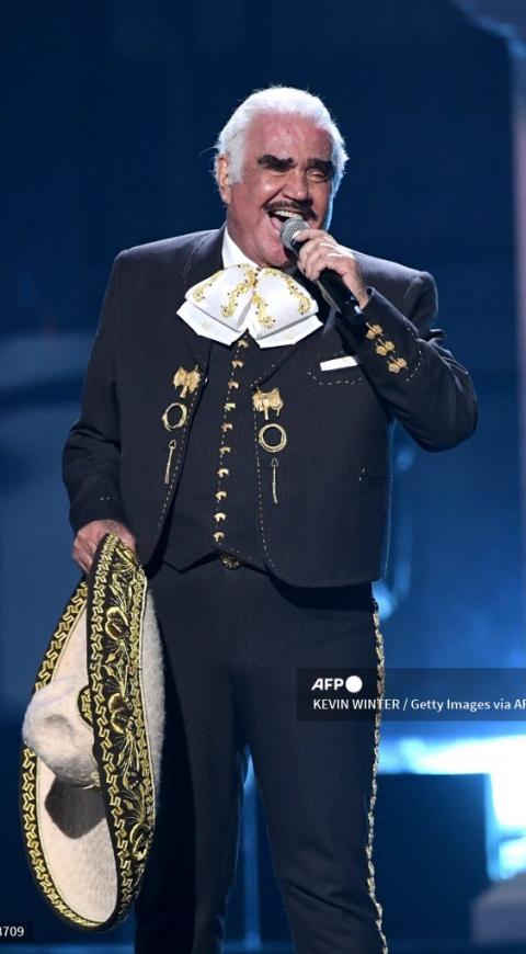 Vicente Fernández Vicente Fernández