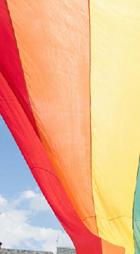 Bandera LGBTI