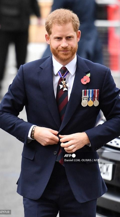 Príncipe Harry vertical