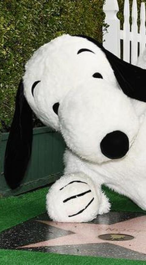 Snoopy