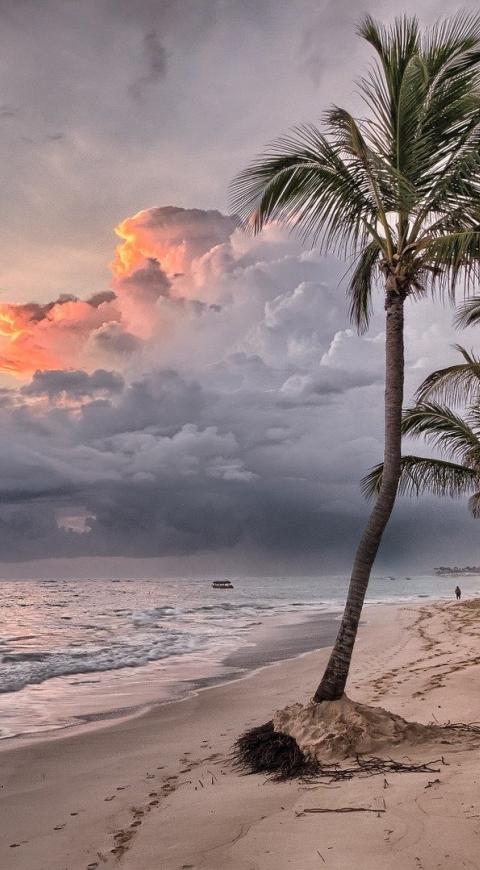 Playa y mar