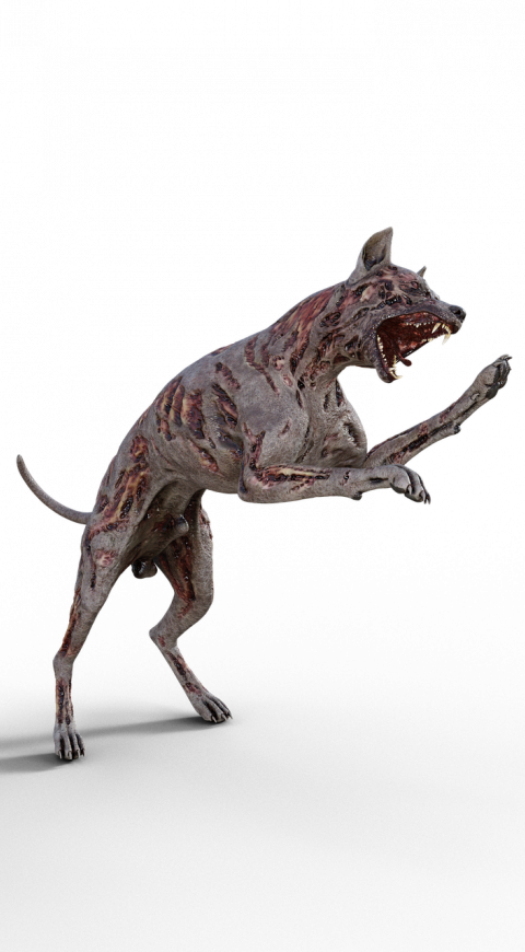 Mascotas fallecidas en El Cartel Paranormal - Junio 2