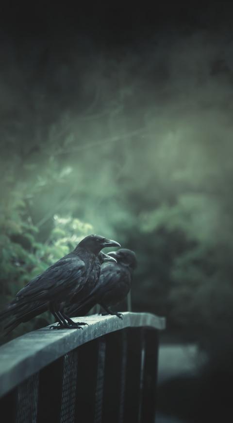 Historias y recorridos en El Cartel Paranormal - Agosto 1