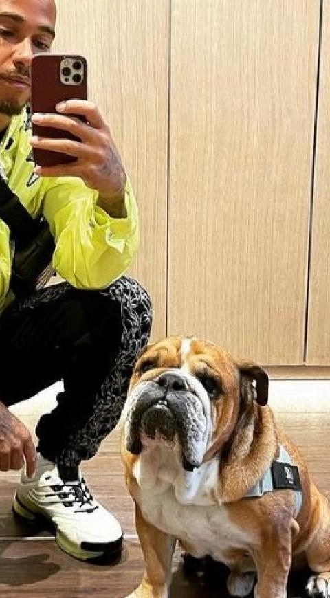 Lewis Hamilton y su perrito
