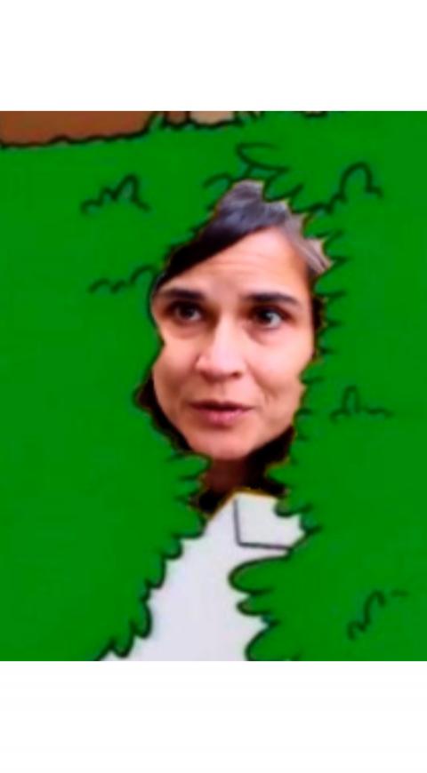 Carolina Sanín meme