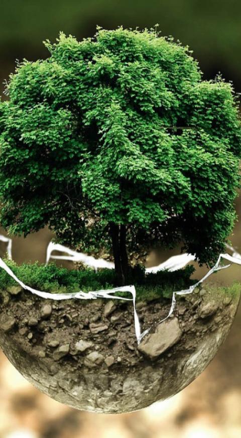 medio ambiente