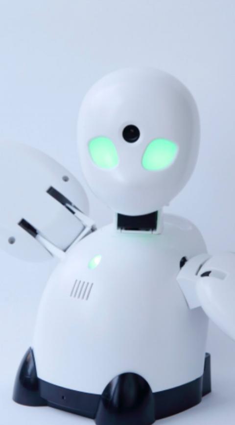 Orihime robot