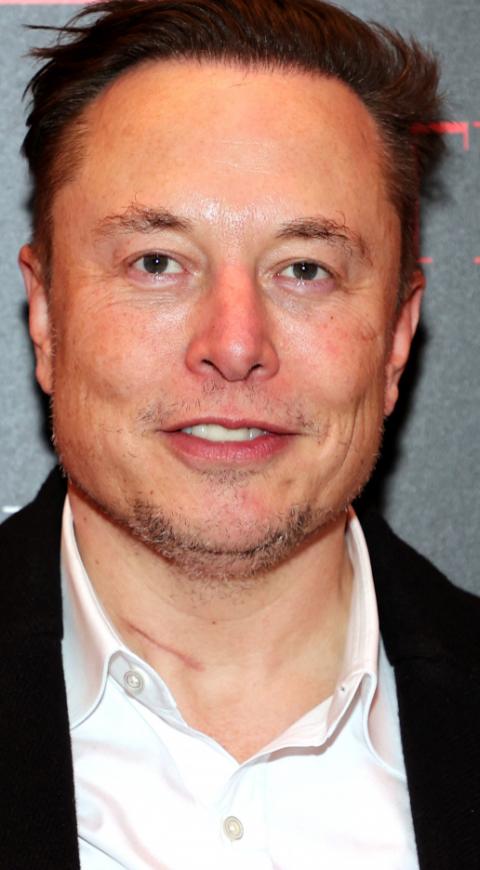 Elon Musk v