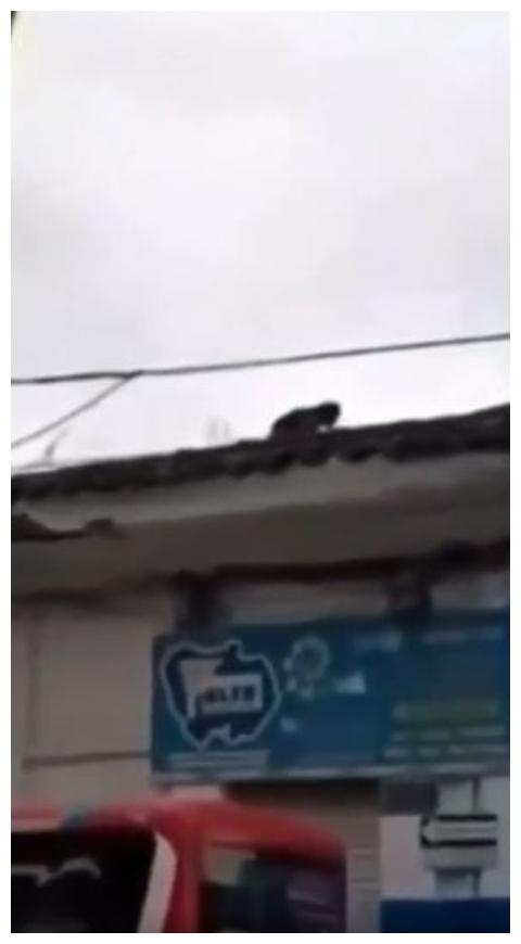 Captan bruja Captan bruja en Santander de Quilichao, Colombia