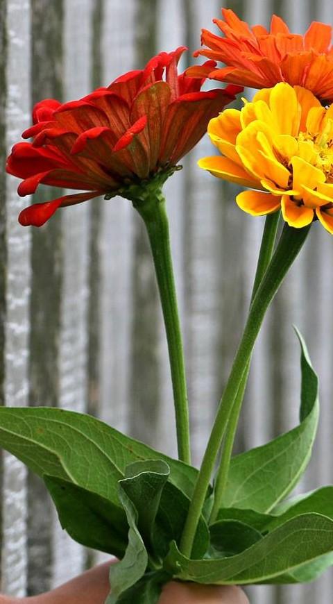 Test de personalidad Ramo de flores