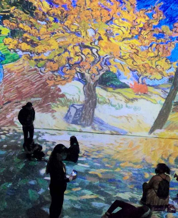 Exposición Beyond Van Gogh