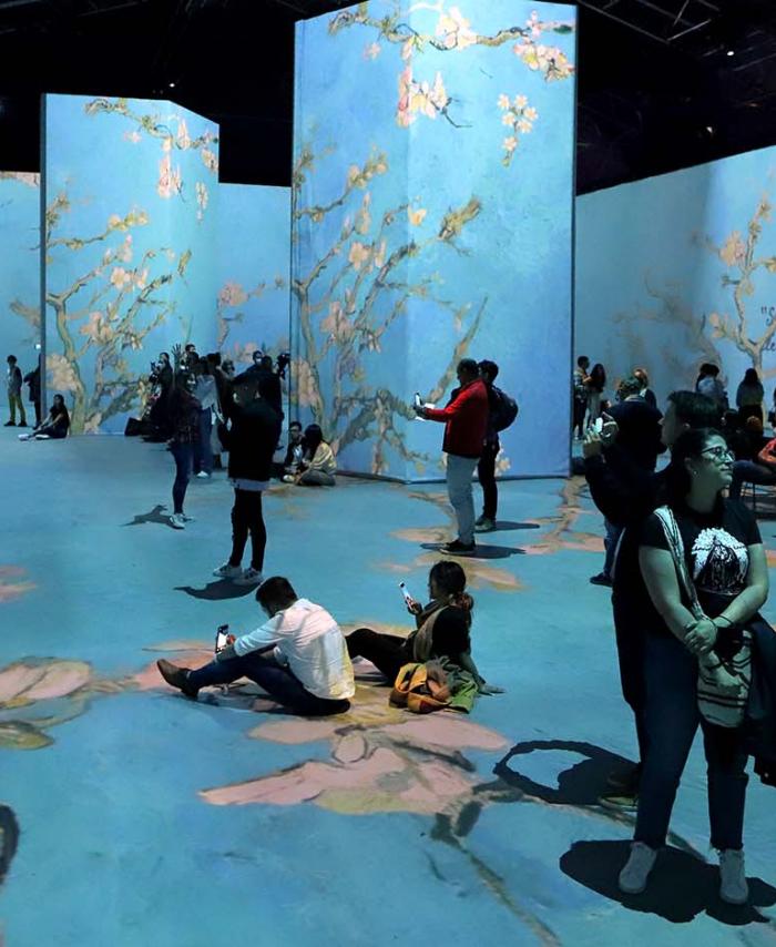 Exposición Beyond Van Gogh