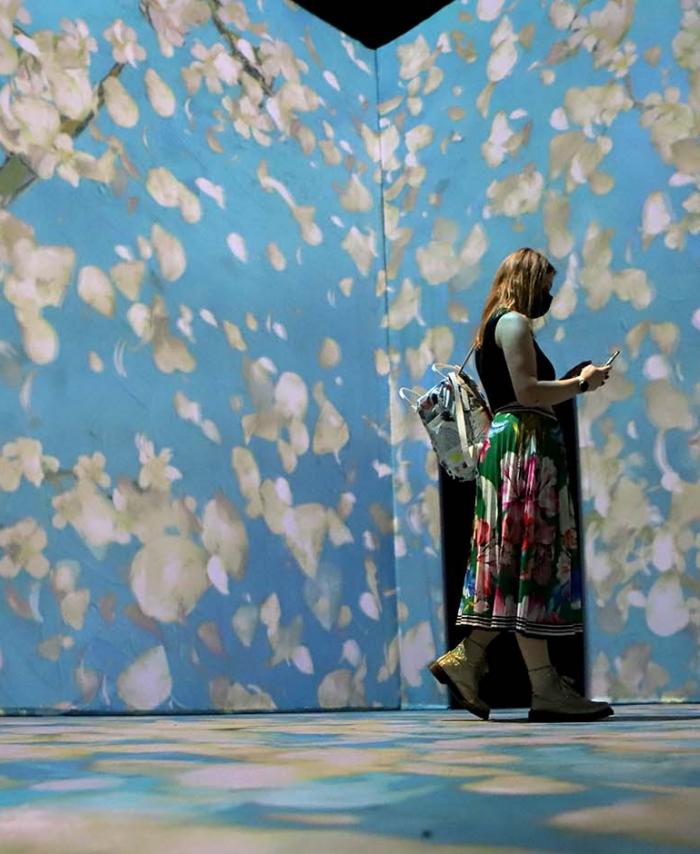 Exposición Beyond Van Gogh
