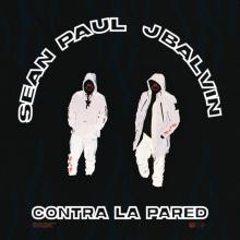 sj