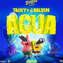 agua