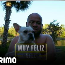 Muy Feliz Ñejo